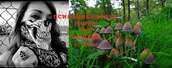 герыч Корсаков
