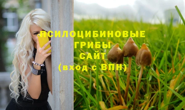 хмурый Костерёво