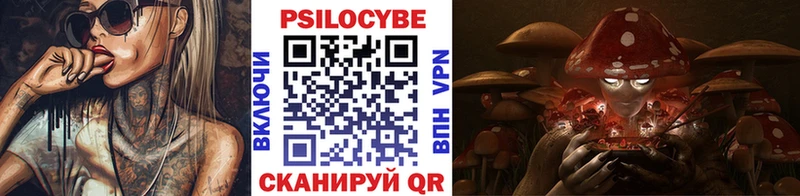 Купить закладки  Мурманск  Галлюциногенные грибы прущие грибы 